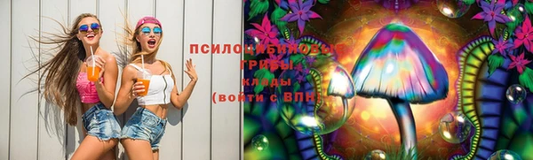 PSILOCYBIN Арсеньев