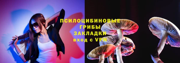 PSILOCYBIN Арсеньев