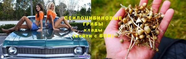 герыч Няндома